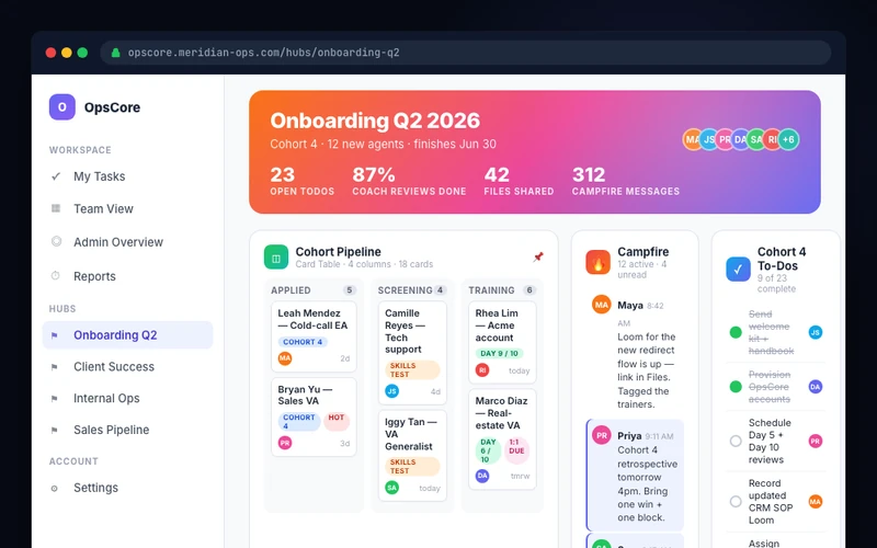 Representative professional services operations hub interface